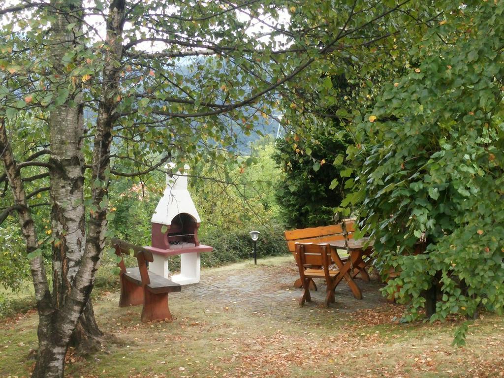 Willa Panorama Spa Ustron Bagian luar foto