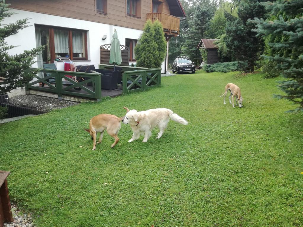 Willa Panorama Spa Ustron Bagian luar foto